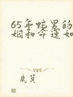 65年蛇男的婚姻和命运如何封面