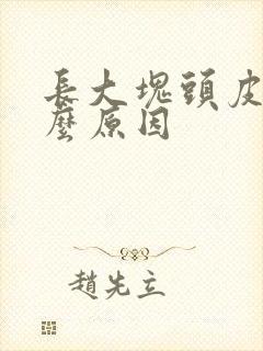 长大块头皮屑什么原因封面