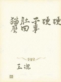 猫肚子硬硬的怎么回事