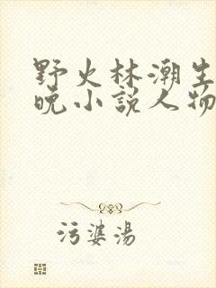 野火林潮生林晚晚小说人物野火