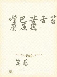 嘴巴苦舌苔白什么原因