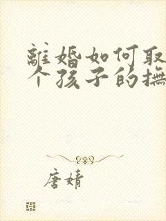 离婚如何取得两个孩子的抚养权