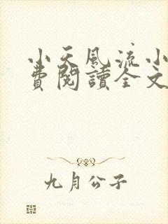 小天风流小说免费阅读全文最新章节