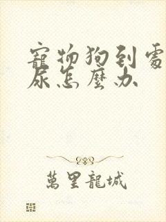 宠物狗到处乱拉尿怎么办