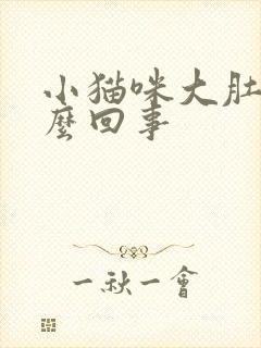 小猫咪大肚子怎么回事