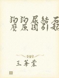 狗狗尿结石是什么原因引起的啊