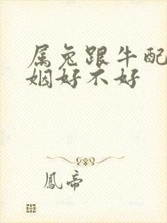 属兔跟牛配的婚姻好不好