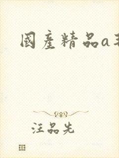 国产精品a毛片封面