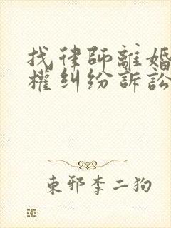 找律师离婚抚养权纠纷诉讼封面