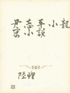 尹志平小龙女亲密小说封面