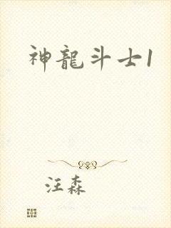 神龙斗士1封面