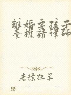 离婚要孩子的抚养权请律师的多少钱