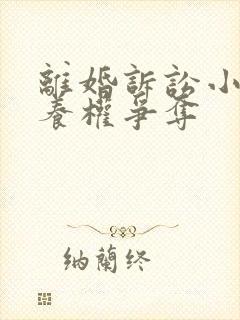 离婚诉讼小孩抚养权争夺