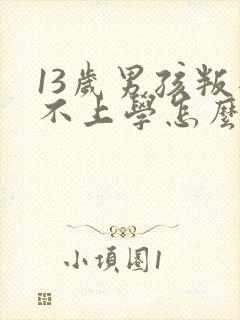 13岁男孩叛逆不上学怎么办