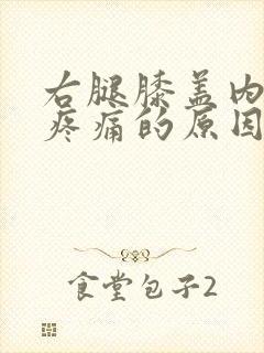 右腿膝盖内侧筋疼痛的原因