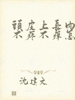 头皮上长肉疙瘩不疼不痒怎么回事