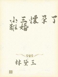 小三怀孕了逼我离婚