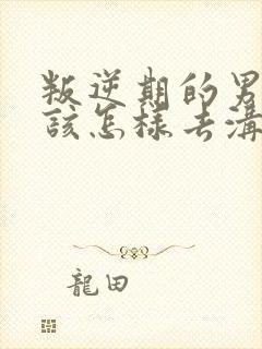 叛逆期的男孩子该怎样去沟通教育的书籍