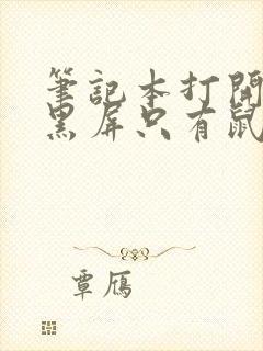 笔记本打开之后黑屏只有鼠标