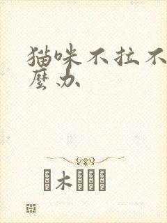 猫咪不拉不尿怎么办