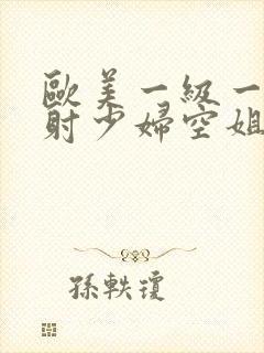 欧美一级一片内射少妇空姐网站