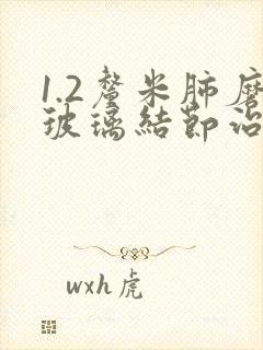 1.2厘米肺磨玻璃结节治封面