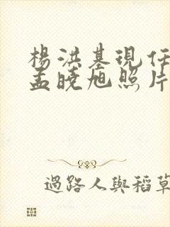 杨洪基现任老婆孟晓旭照片高清