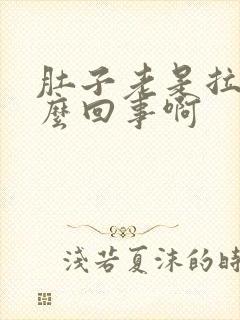 肚子老是拉稀怎么回事啊