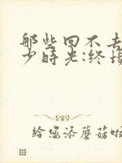 那些回不去的年少时光:终场