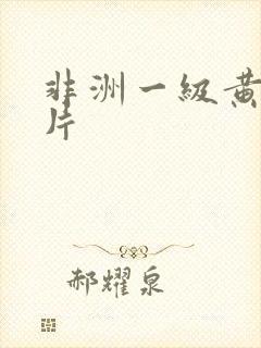 非洲一级黄色大片