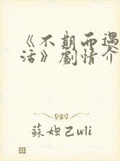 《不期而遇的生活》剧情介绍