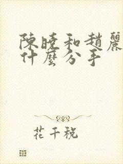 陈晓和赵丽颖为什么分手