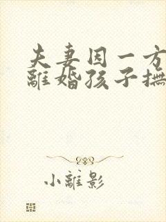 夫妻因一方出轨离婚孩子抚养权怎么判定