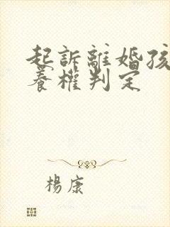 起诉离婚孩子抚养权判定