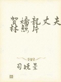 贺娇龙丈夫李建林照片封面