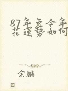 87年兔今年桃花运势如何封面