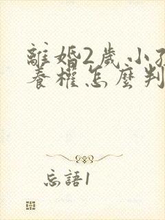 离婚2岁小孩抚养权怎么判定封面