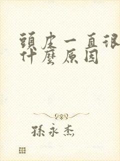 头皮一直很痒是什么原因