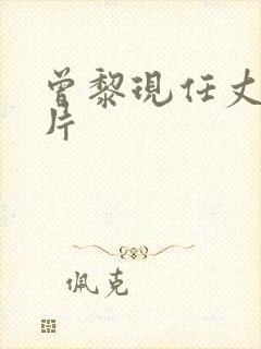 曾黎现任丈夫照片