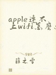 apple连不上wifi怎么办