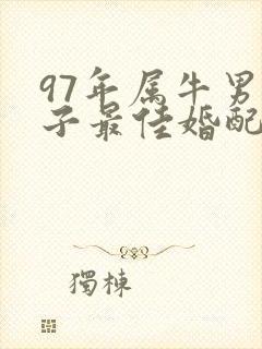 97年属牛男孩子最佳婚配封面