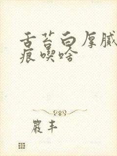 舌苔白厚腻有齿痕吃啥