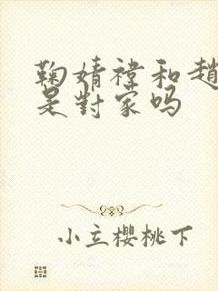 鞠婧祎和赵露思是对家吗封面