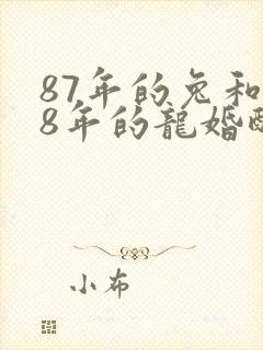 87年的兔和88年的龙婚配