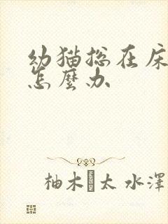 幼猫总在床上尿怎么办