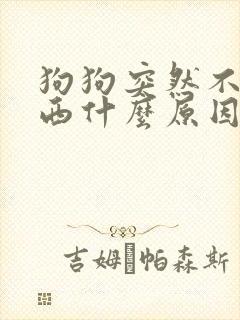 狗狗突然不吃东西什么原因