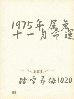 1975年属兔十一月命运怎么样
