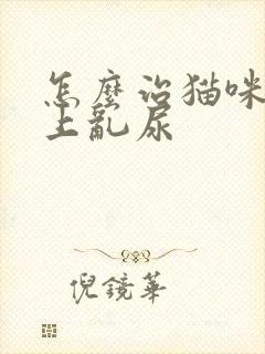 怎么治猫咪在床上乱尿