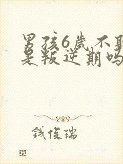 男孩6岁不听话是叛逆期吗