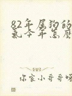 82年属狗的运气今年怎么样